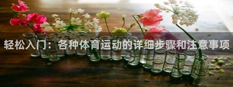 中欧体育kok官网首页