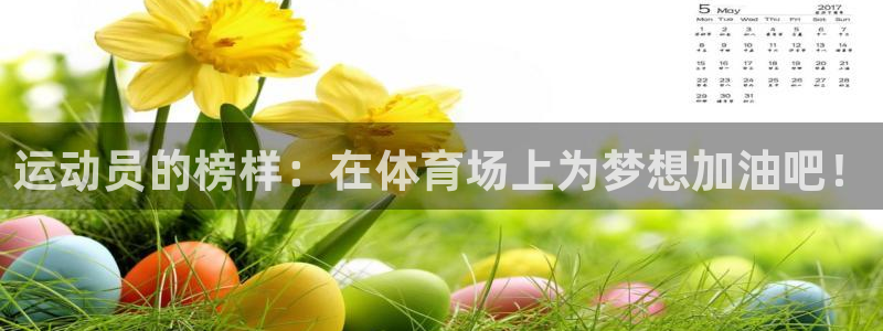 kok中欧体育
