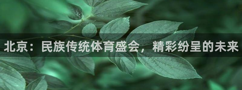 中欧体育网页版