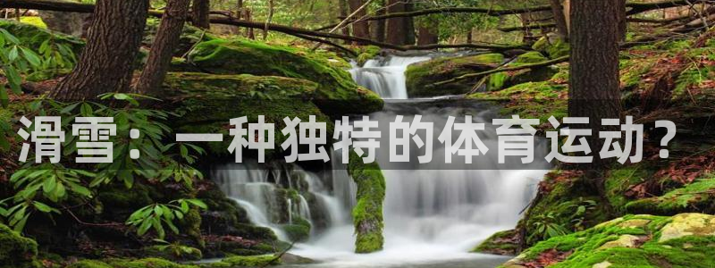 中欧体育kok：滑雪：一种独特的体育运动？