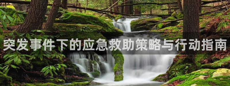 中欧体育网页版
