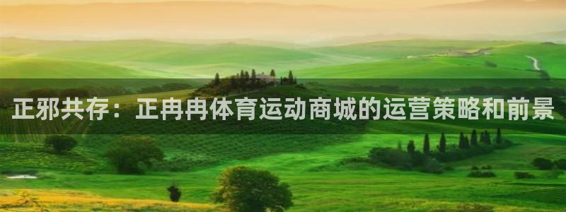 中欧体育李勇鸿：正邪共存：正冉冉体育运动商城的运营策略和前景