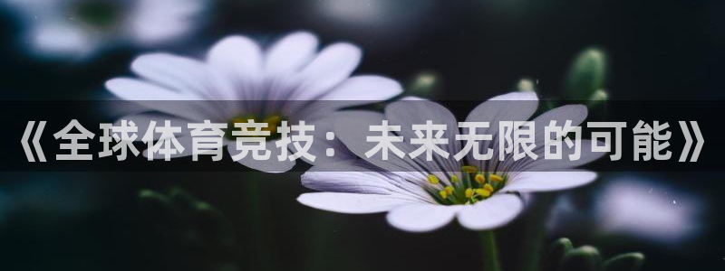 中欧体育集团：《全球体育竞技：未来无限的可能》