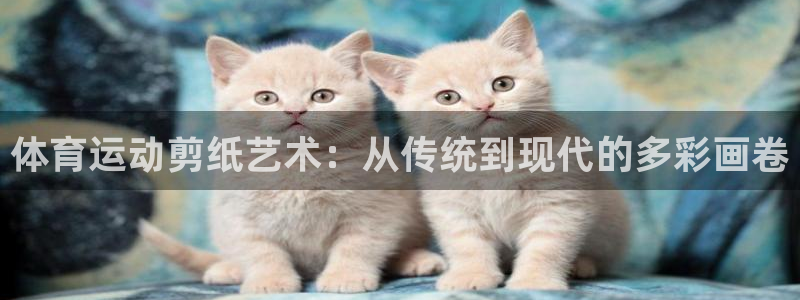中欧体育app
