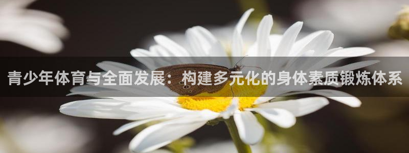 中欧体育登录：青少年体育与全面发展：构建多元化的身体素质锻炼体系