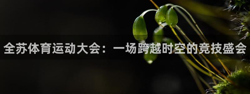 中欧体育官网入口：全苏体育运动大会：一场跨越时空的竞技盛会
